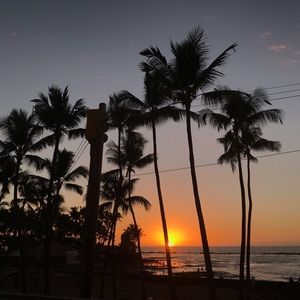 Meet your Posher, Robin